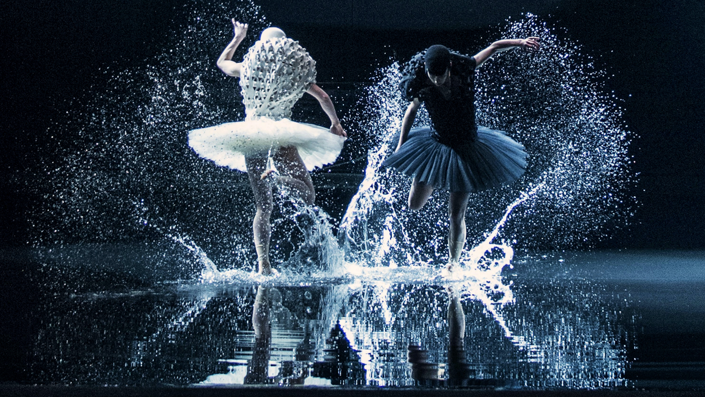 A Swan Lake